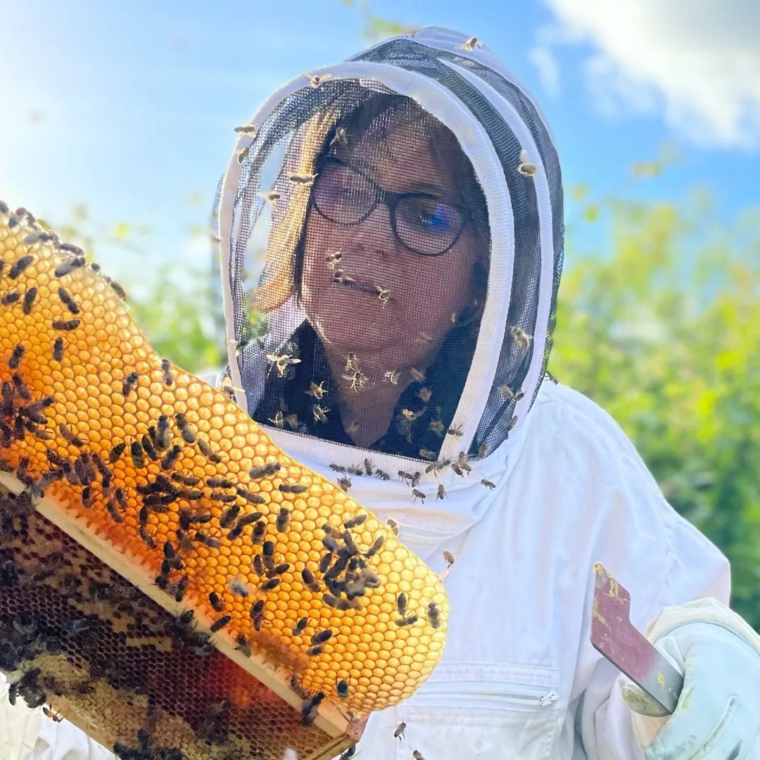 les abeilles et l’apiculture